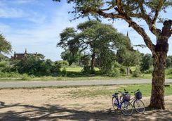 Temple bike tour