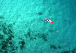 Paddleboarder