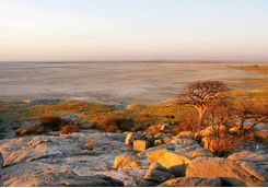 View across the desert