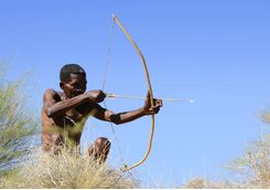 Bushman hunting