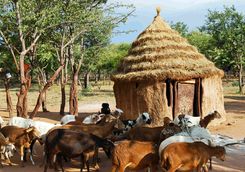Kalahari village