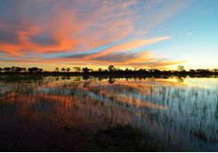 Sunset over the Delta