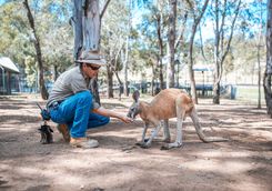 Feeding a Kangaroo