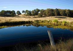 Daylesford