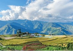 Punakha valley