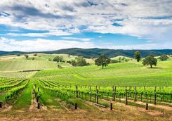 Barossa Valley
