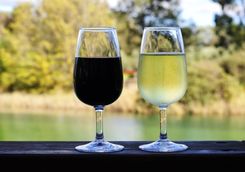 Glasses of wine