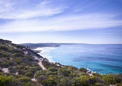 Clifftop Walk, South Ocean Lodge