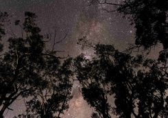 Starry sky in the Blue Mountains