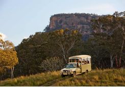 Wolgan Valley wildlife safari