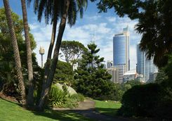 Sydney botanical garden