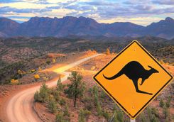 Kangaroo Sign