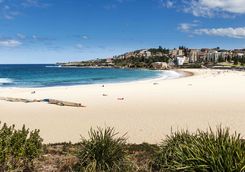 Coogee Beach