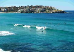 Surfing in the Sea