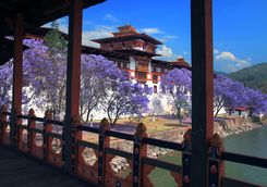 Inside Punakha Dzong