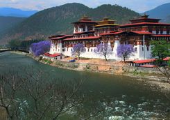 Outside Punakha Dzong