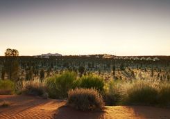 uluru-desert