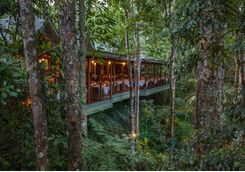 treehouse-restaurant