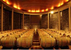 Barrels in a Winery