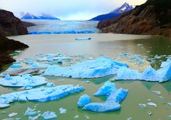 Grey Glacier