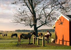 horse riding