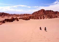 Horse riding in the Atacama