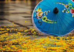 Chiang Mai lake parasol