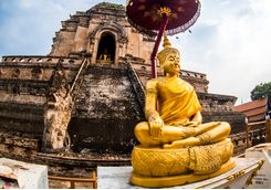 Wat Chedi Luang buddha