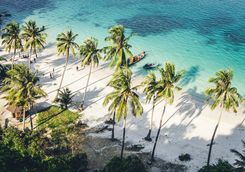 Koh Samu beach palms