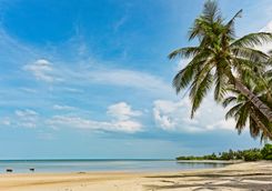 Koh Samui tropical beach