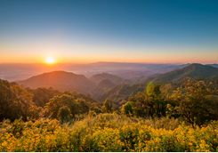 Chiang Rai sunrise