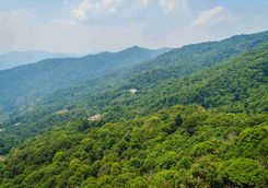 Doi Suthep highlands