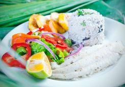 traditional meal in Costa Rica