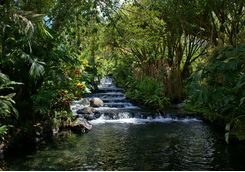Tabacon hot springs