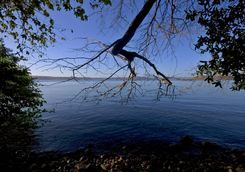 Papagayo bay