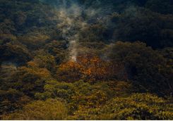 fumes rincon de la vieja national park