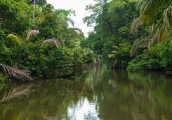 canal tour