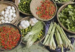 Vietnamese ingredients