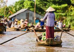 Lady selling fruit in the Mekong Delta
