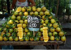 Fruit Market