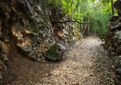 Hellfire pass forests