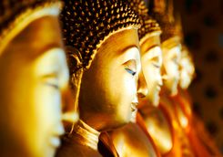 Golden buddhas