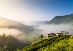 Chiang Rai panoramic sunrise views