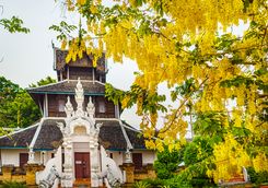 Wat Chedi Luang temple in Autumn