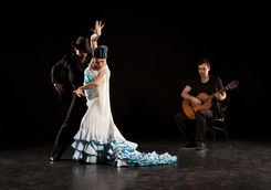 Flamenco show