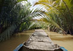 tradtional boat on the mekong