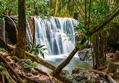 waterfall in the jungle