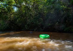 White Water Tubing