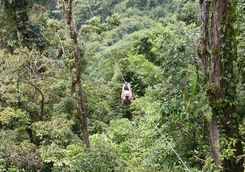 Ziplining