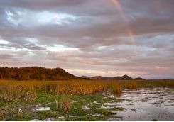 Palo Verde National Park